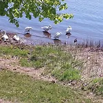 Квартира У Реки
